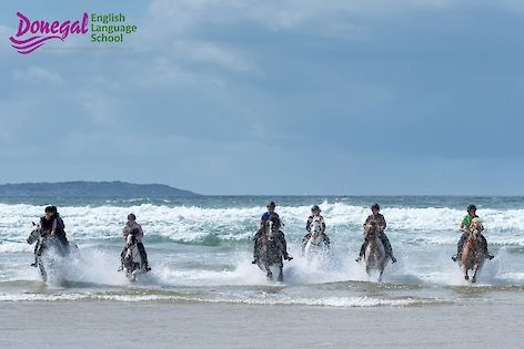 Equitation et surf en Irlande