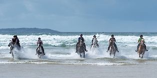 Equitation et surf en Irlande